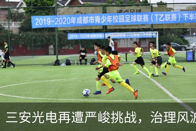 三安光电再遭严峻挑战，治理风波引市场担忧